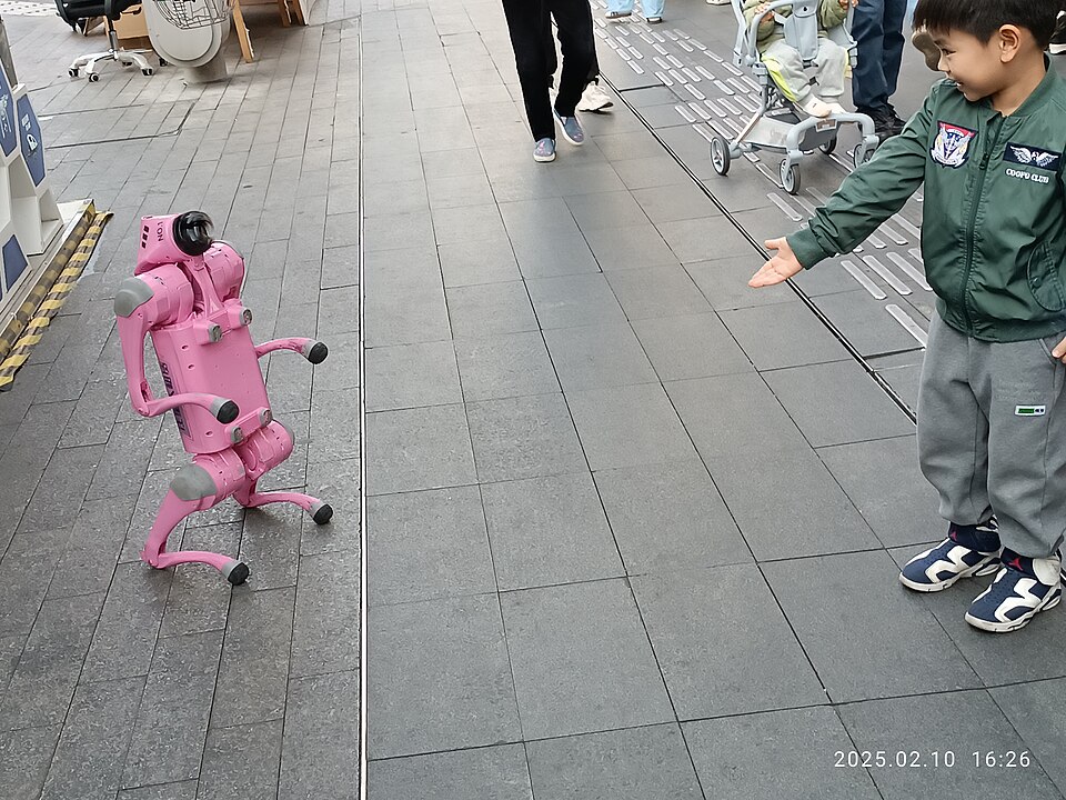 Pink robotic dog in a public demonstration in Huaqiangbei, Shenzhen